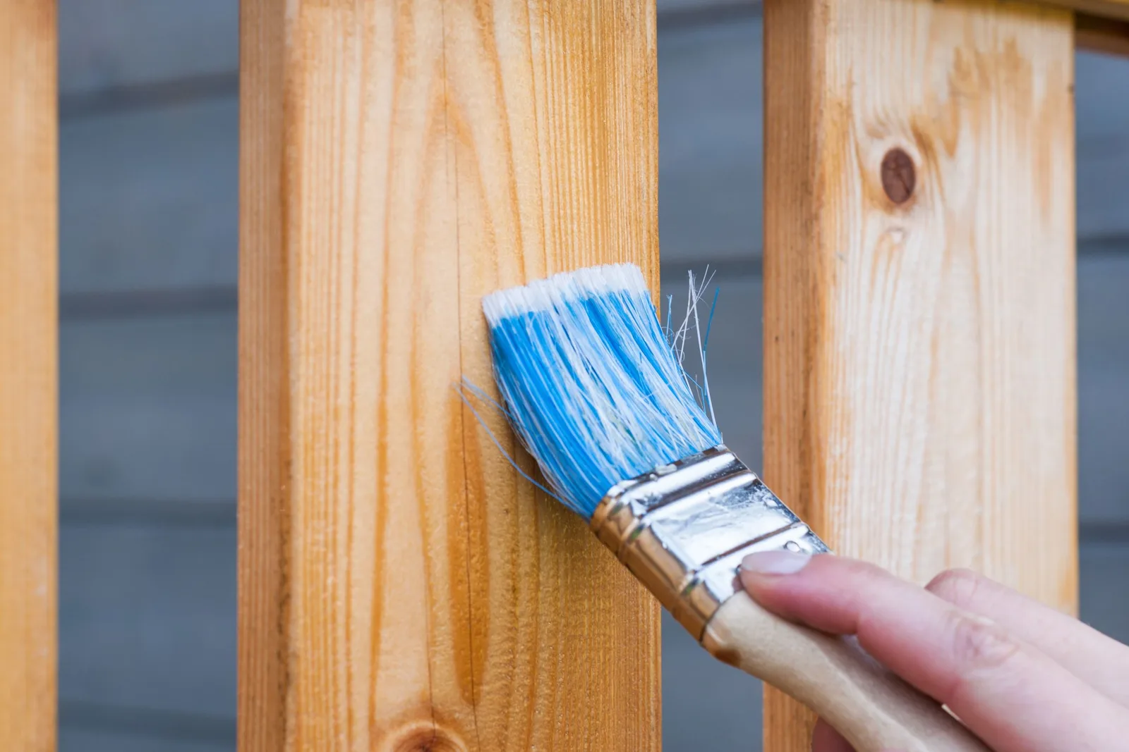 Escalier en bois aux marches fraîchement peintes dans une maison